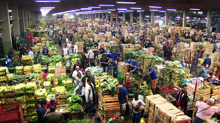 Tocantins registra alta nos preços de hortifrutigranjeiros: confira as variações e impacto para consumidores locais