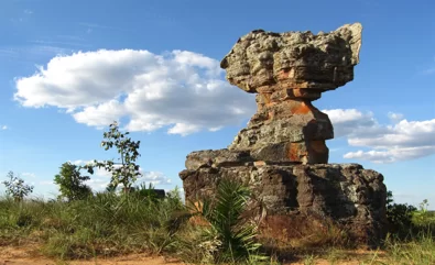 Sebrae Tocantins premia as três melhores ideias do projeto Inova Cerrado