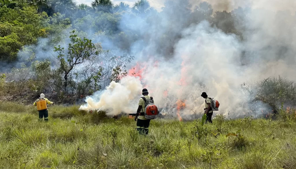 Naturatins realiza Manejo Integrado do Fogo no Parque Estadual do Jalapão e suspende temporariamente visitação às Dunas no dia 24 de junho