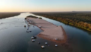 Tocantins e o mercado de carbono: oportunidade ou risco?