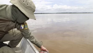 Piracema já começou: Naturatins estabelece período de defeso no Tocantins até 28 de fevereiro de 2025