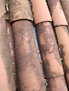 Agrotóxicos são usados como arma química contra famílias em Quixeré no Ceará