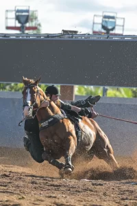 Cavalo Inquestionável leva Monte Sião Haras à liderança no maior campeonato de vaquejada do Brasil