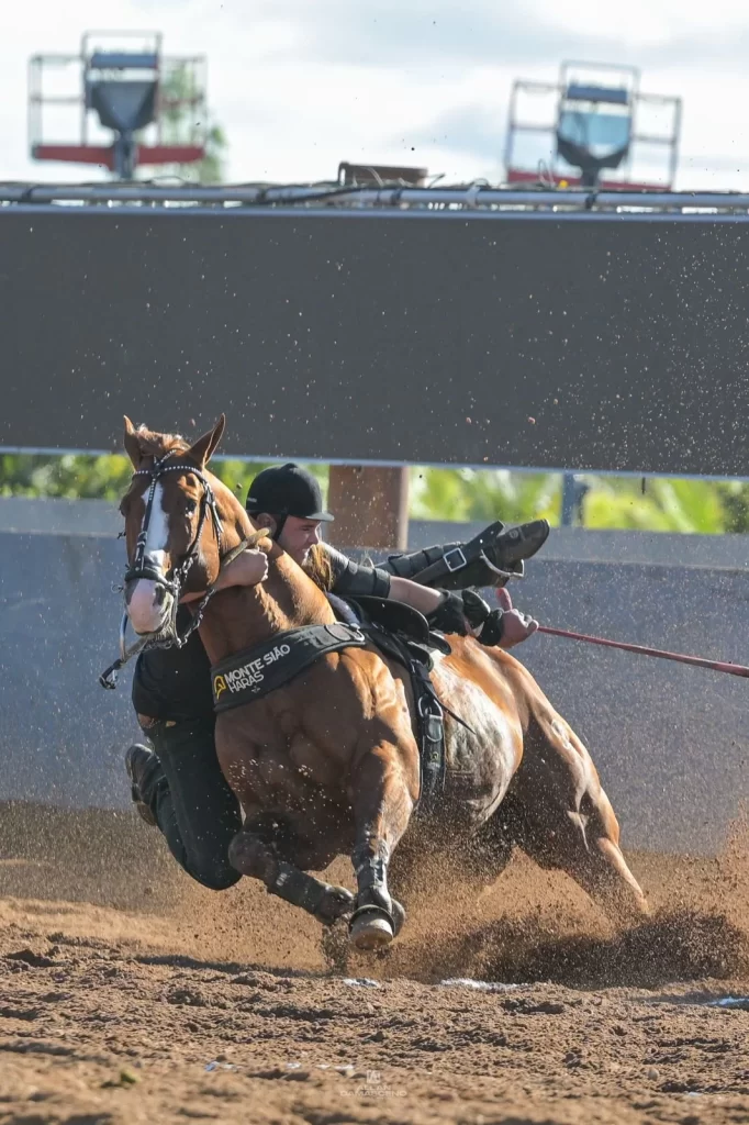 Cavalo Inquestionável leva Monte Sião Haras à liderança no maior campeonato de vaquejada do Brasil