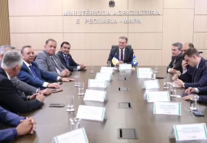 Impacto do Tarifácio dos EUA: Governo de Tocantins Busca Alternativas para o Setor de Carnes