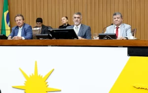 Assembleia Legislativa autoriza venda de ações do Tocantins na Energisa e revoga participação mínima do Estado