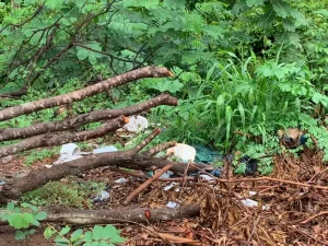 Colinas do Tocantins enfrenta desafios no manejo de resíduos sólidos e reforça conscientização ambiental
