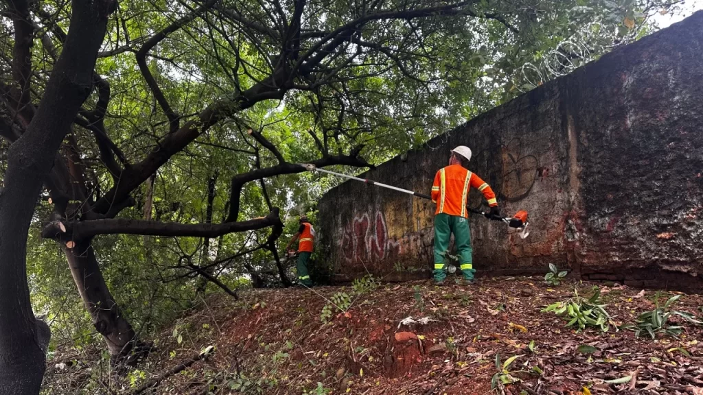 Prefeitura de Goiânia realiza limpeza de lama e remoção de árvores caídas após fortes chuvas
