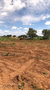 &nbsp;Denúncia feita ao Diário Tocantinense sobre invasão no setor Santa Maria resulta em ameaças: “Não vou me calar”, diz morador