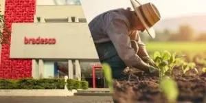 Bradesco anuncia mais de R$ 50 bilhões para o Plano Safra 2025/2026 e lança promoção “Força no Campo”