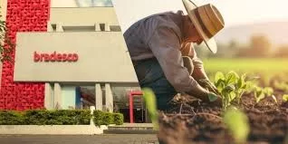 Bradesco anuncia mais de R$ 50 bilhões para o Plano Safra 2025/2026 e lança promoção “Força no Campo”