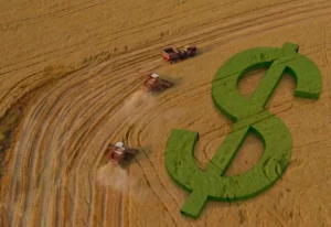 Plano Safra 2025/26 libera valor recorde, mas produtores do Tocantins  enfrentam barreiras para acessar recursos