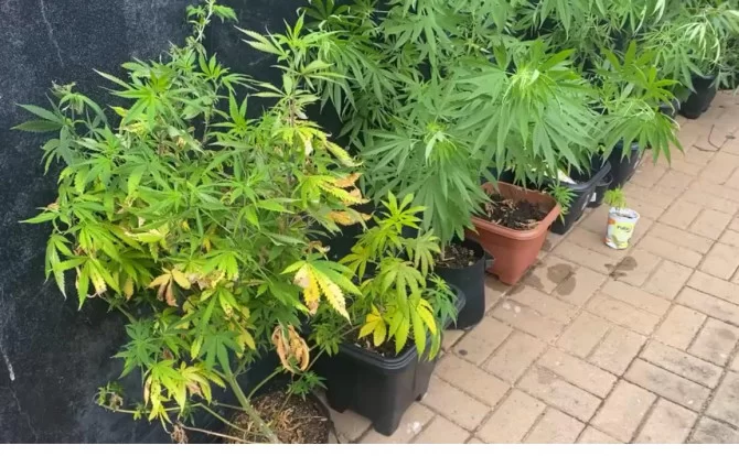 Homem é preso por tráfico de drogas, posse ilegal de arma e apologia ao crime em Araguaína