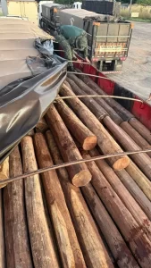 PM apreende caminhão com madeira irregular em Araguatins durante operação ambiental