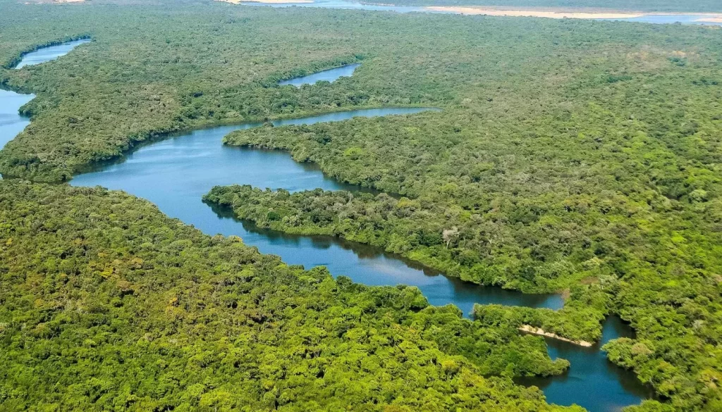 Tocantins lidera recuperação de áreas degradadas na Região Norte e avança em estratégias sustentáveis