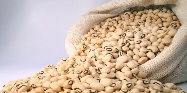 Lula lança Plano Safra 2025/2026 com R$ 516,2 bilhões e mira o Brasil como celeiro global