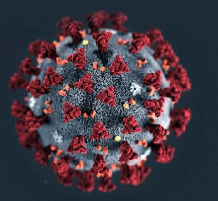 Municípios do Tocantins emitem decretos para enfrentamento da Covid-19 e apresentam panorama dos casos