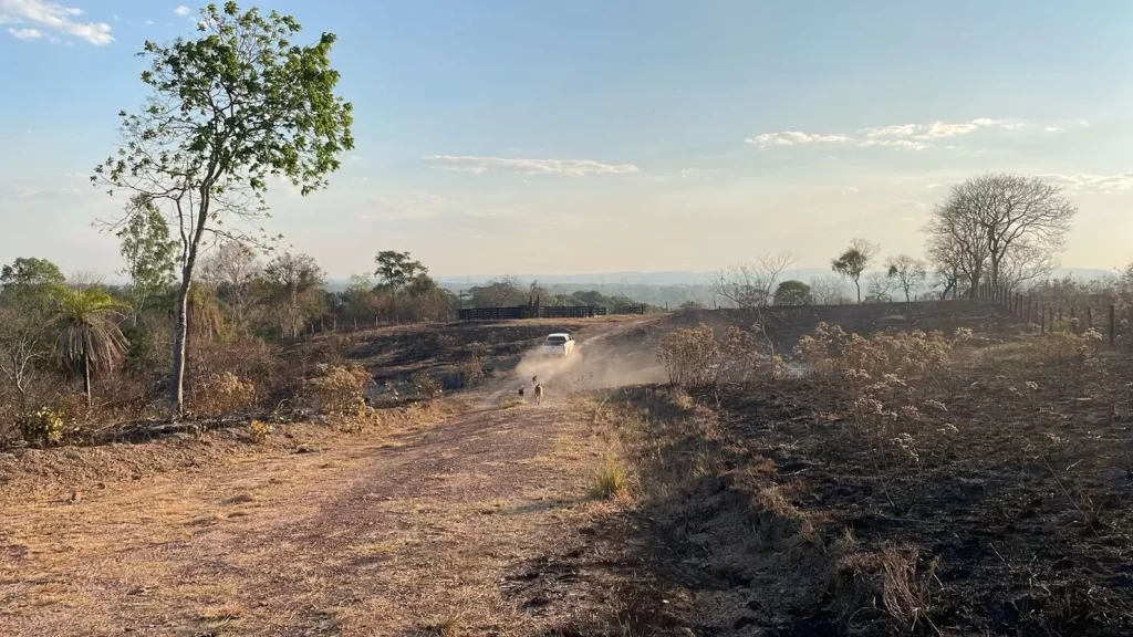 Propriedades rurais são devastadas pelo fogo em Colinas, Palmeirante, Palmas e Sudeste; governo do Estado é cobrado por respostas e apoio
