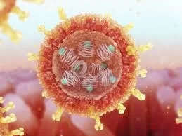 Rotavírus: vírus comum, mas ainda perigoso para crianças pequenas