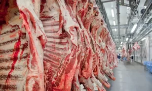 China adia investigação sobre importação de carne bovina e mantém setor em alerta