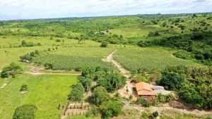 Araguaína faz mutirão para PSA e regularização ambiental