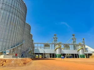 Frísia mostra por que o cooperativismo é o caminho mais seguro para o produtor rural