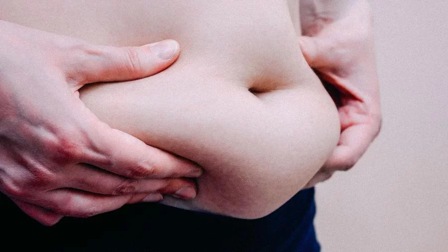 O que é gordura visceral e como eliminá-la de forma segura