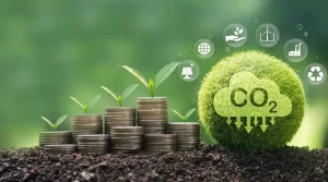 Mercado de carbono no Brasil: como funciona o modelo REDD+ e por que o Tocantins pode lucrar na COP30