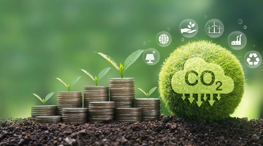 Mercado de carbono no Brasil: como funciona o modelo REDD+ e por que o Tocantins pode lucrar na COP30