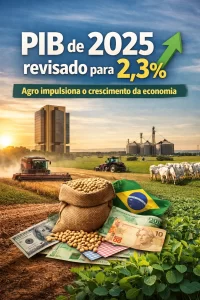 Banco Central eleva projeção do PIB de 2025 para 2,3% e aponta agro como motor do crescimento