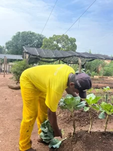 Guaraí aposta em ressocialização e reduz reincidência com projeto que devolve trabalho e dignidade a reeducandos
