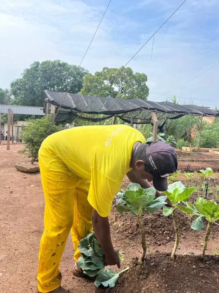 Guaraí aposta em ressocialização e reduz reincidência com projeto que devolve trabalho e dignidade a reeducandos