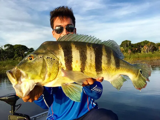 Piracema começou: veja o que é proibido, o que é permitido e as multas previstas no Tocantins