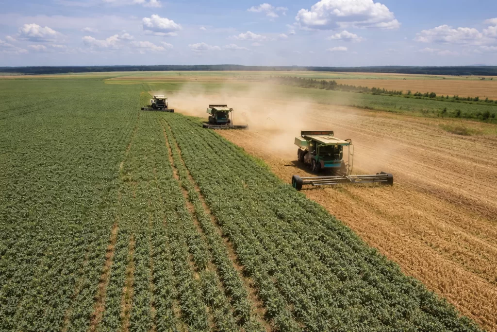 MATOPIBA consolida papel estratégico no agronegócio e redefine o mapa produtivo do Brasil