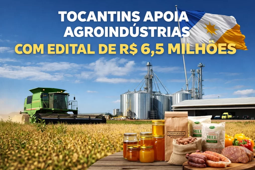 Tocantins lança edital milionário para impulsionar agroindústrias e interiorizar o desenvolvimento