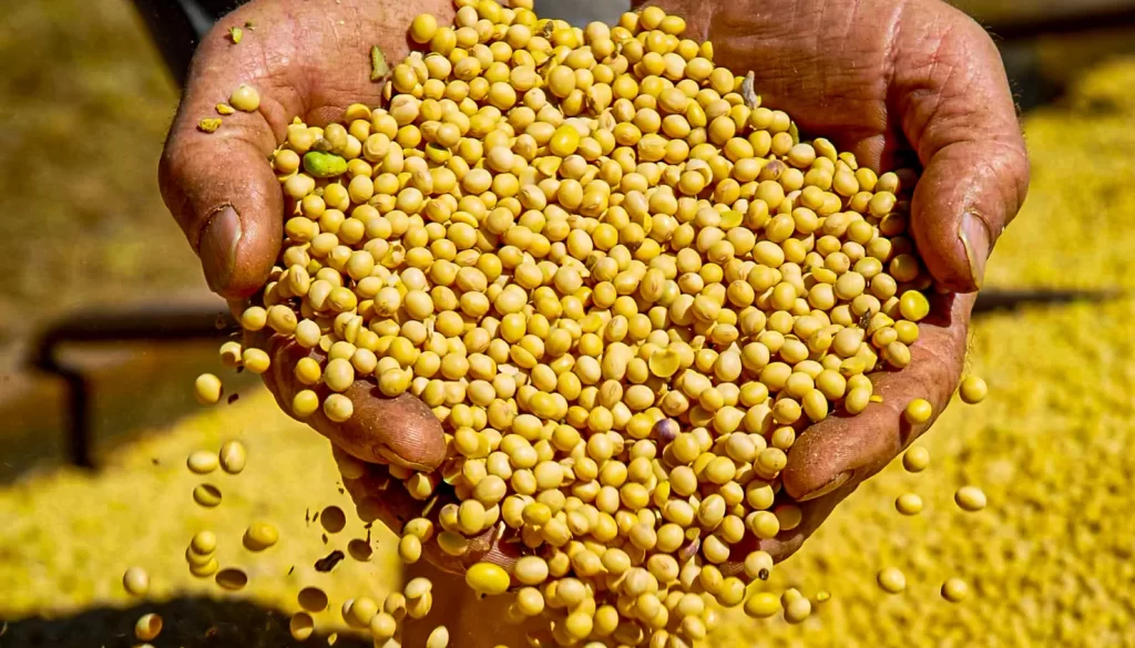 Tocantins rompe a marca de US$ 3 bilhões em exportações e expõe a nova engrenagem econômica do Norte