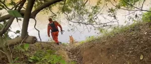 “Os cães confirmaram que as três crianças estiveram na casa caída”, diz Maurício Martins; Roberto Costa afirma: “Bacabal não vai parar até encontrar Ágata e Alain”