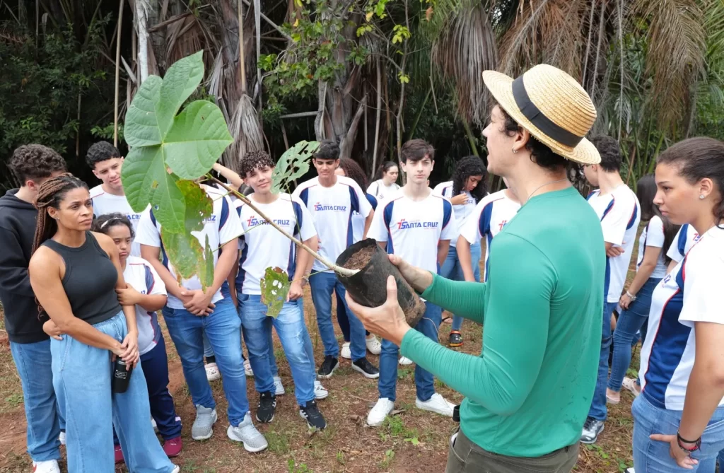 Conselho do Meio Ambiente de Araguaína abre vagas para novos membros