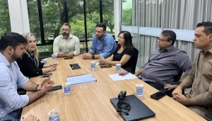 Tocantins anuncia repasse de R$ 426 mil para atender famílias atingidas por temporal no Jardim Taquari