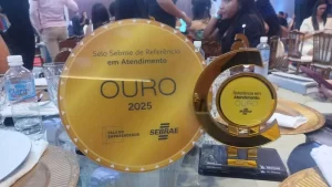 Porto Nacional conquista Selo Ouro do Sebrae pela primeira vez e entra no grupo de excelência em atendimento a empreendedores