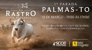 Arroba pode bater R$ 350 e 2026 será ano de rentabilidade excelente, afirma analista da Scot Consultoria na Quinta do Agro do Diário Tocantinense