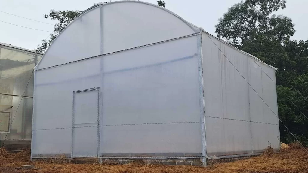 Câmara de termoterapia entregue em Palmas deve impulsionar produtividade da mandioca e abrir nova frente econômica para agricultura familiar no Tocantins