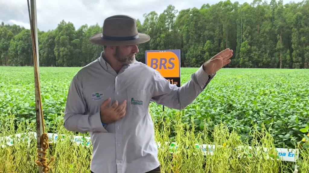 Nova soja da Embrapa alcança até 100 sacas por hectare e amplia eficiência produtiva no Cerrado