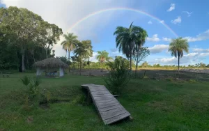 Descanso em alta: Pouso da Folia vira refúgio preferido no Norte do país durante o Carnaval