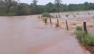 Tocantins cria força-tarefa para atender municípios afetados pelas chuvas