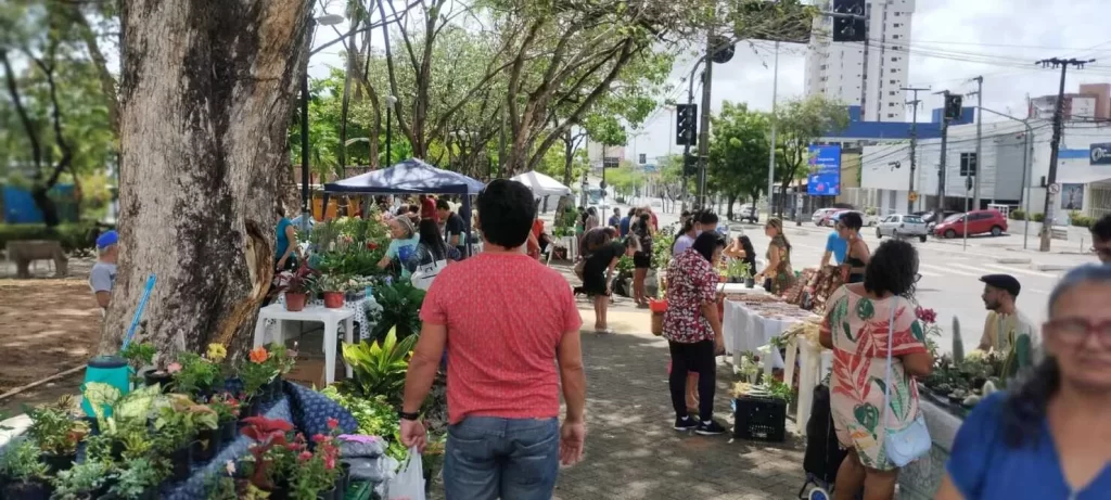 Dia da Mulher será celebrado com feira de plantas e serviços gratuitos na Parangaba em Fortaleza