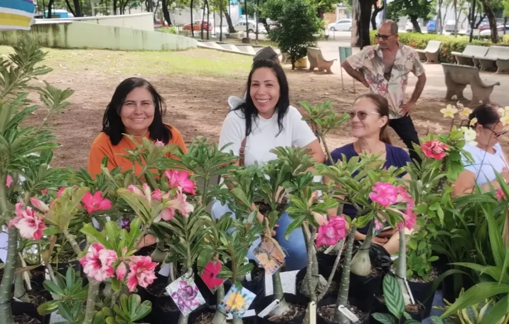 Feira de plantas reúne comunidade no Dia Internacional da Mulher em Fortaleza