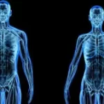 Como o corpo humano reage a temperaturas extremas e protege órgãos vitais