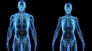 Como o corpo humano reage a temperaturas extremas e protege órgãos vitais