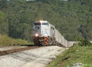 VLI nega boatos de paralisação em Palmeirante e mantém escoamento da soja em alta no Tocantins